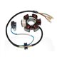 Electrosport, stator alternátoru, Honda CRF 80 '04-'09, XR 80R '93-'03, CRF 100F '04-'09, XR 100R '92-'03