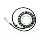 Electrosport, stator alternátoru, Honda VT750C/C2 SHADOW AERO 04-09