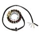 Electrosport, stator alternátoru, Honda XR 600R (85-00), XL 600R (83-87) HIGH POWER (2 X 100W)