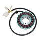 Electrosport, stator alternátoru, KTM 400/640 LC4 '98-'05