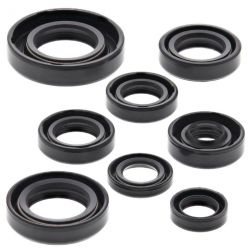 Winderosa (Vertex), sada gufer motoru, Honda CR80R 86-02, CR80RB 96-02, CR85R 03-07, CR85RB 03-07