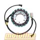 ELECTROSPORT STATOR ALTERNÁTORU KAWASAKI ZX-R9 NINJA 00-06