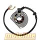 ELECTROSPORT STATOR ALTERNÁTORU SE SVĚTELNOU CÍVKOU KTM 125/200/250/300