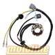 ELECTROSPORT STATOR ALTERNÁTORU SE SVĚTELNOU CÍVKOU KXF250 05-10, RMZ 250 05-06