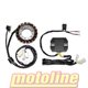 ELECTROSPORT STATOR ALTERNÁTORU S REGULÁTOREM HIGH POWER YAMAHA YXR450 RHINO 05-10, YXR660 RHINO 04-07 (ESG433 + ESR449)